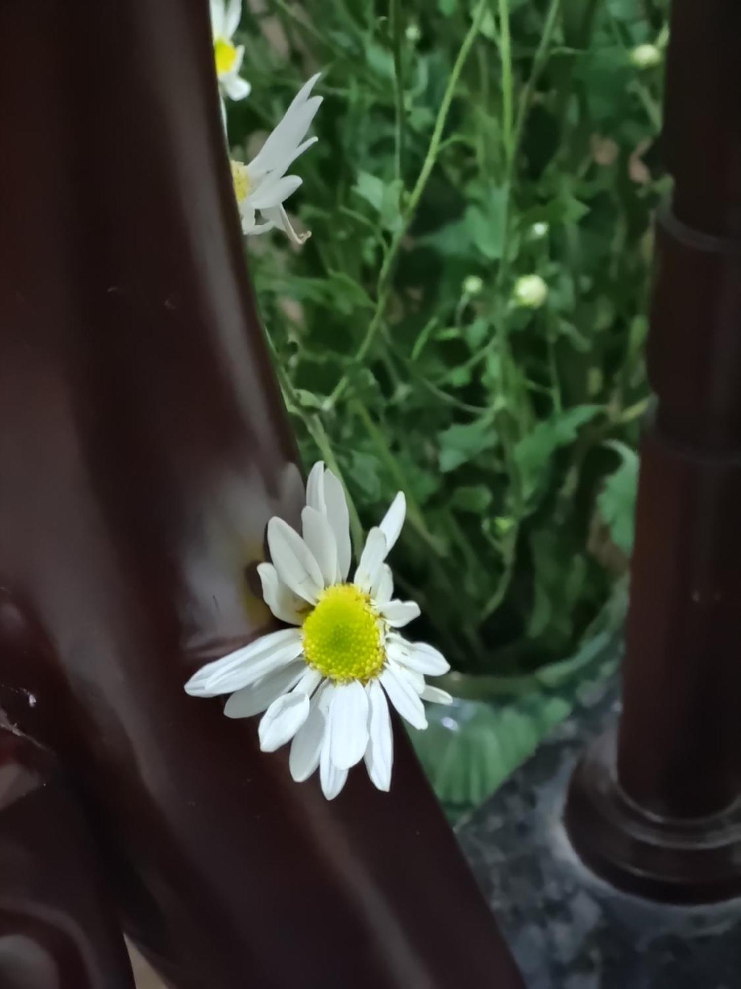 May'S Cottage Ханой Екстериор снимка